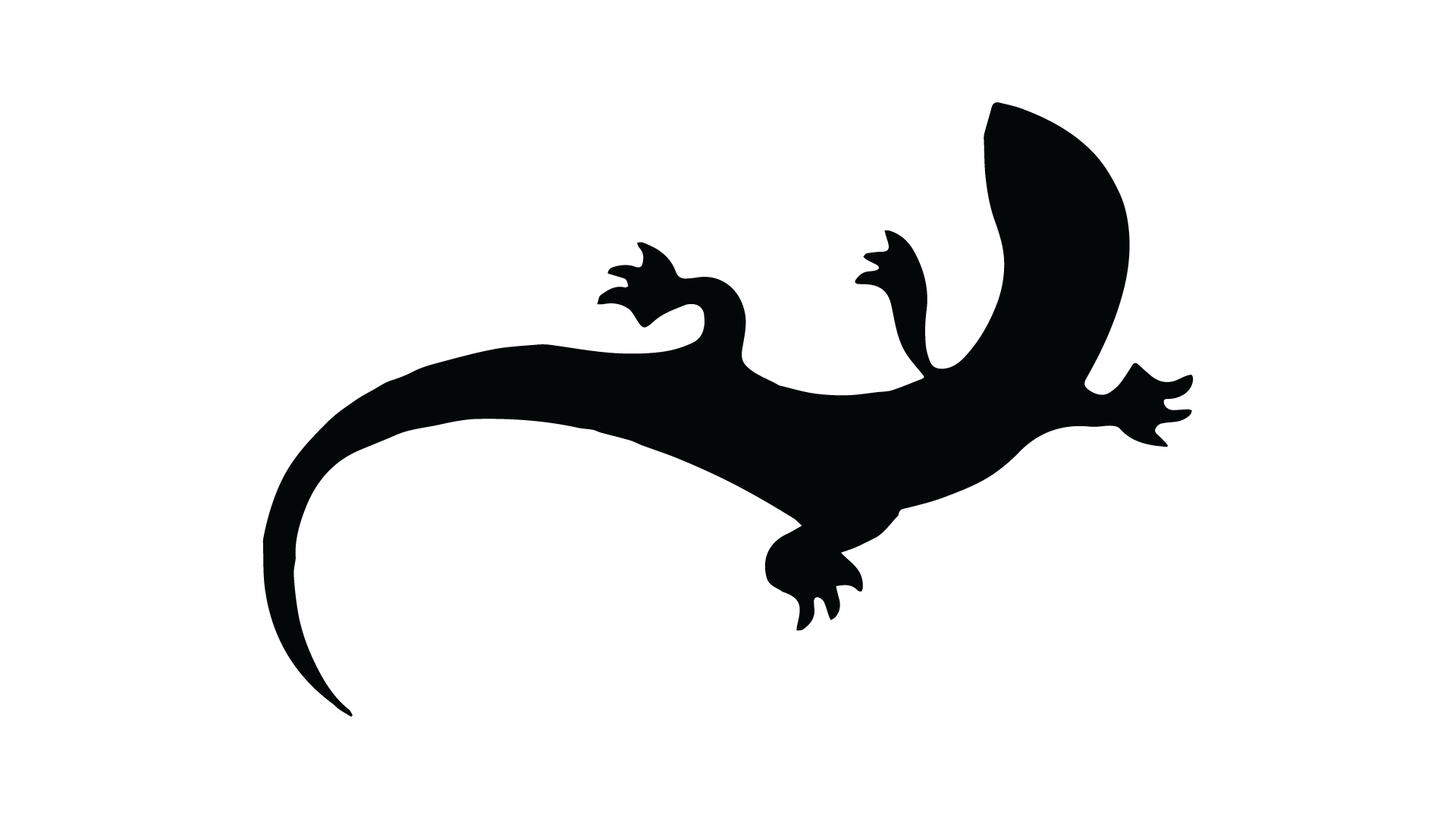 Salamandra Ec